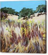 Tall Grass. Late Summer Canvas Print