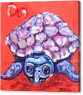 Talula Turtle Canvas Print