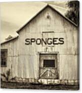 Tarpon Springs Sponges Canvas Print
