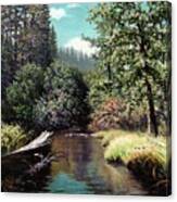 Taylor Creek, Lake Tahoe Canvas Print