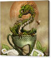 Tea Dragon Canvas Print