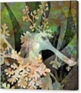 Teal Leafy Sea Dragon Canvas Print