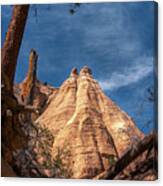 Tent Rock And Ponderosa Pine Canvas Print