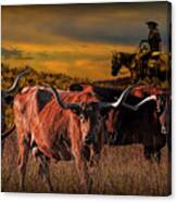 Texas Longhorn Steers And Cowboy At Sunset Canvas Print