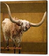 Texas Longhorns Canvas Print