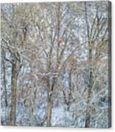 Texture Of Trees With Snow Canvas Print