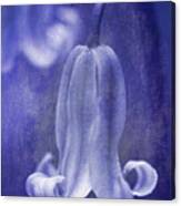 Textured Bluebell In Blue Canvas Print