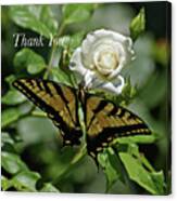 Thank You Butterfly Canvas Print