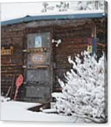 That Ole Shed Canvas Print