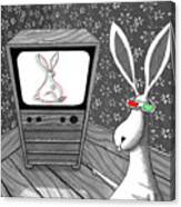 The 3d Rabbit Canvas Print