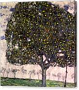 The Apple Tree Ii Canvas Print