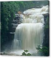 The Base Of Angel Falls In Canaima National Park Venezuela Canvas Print