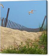 The Beach At Hunting Island Canvas Print