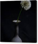 The Beauty Of The Dandelion Canvas Print