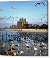 The Birds Canvas Print