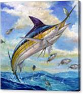 The Blue Marlin Leaping To Eat Canvas Print
