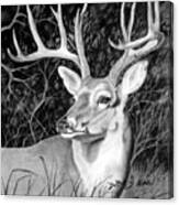 The Buck Canvas Print