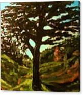 The Cedar Tree Against The Blue Canvas Print