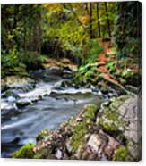 The Clare Glens Canvas Print