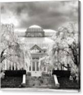 The Conservatory Cherry Blossoms Canvas Print