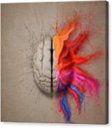 The Creative Brain Canvas Print