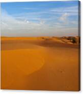 The Desert Canvas Print