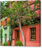 The Fig Tree And Eguisheim House Alsace_dsc7451_16 Canvas Print