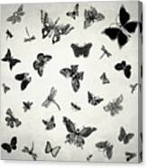 The Flutter And Fly Canvas Print