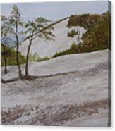 The Four Sisters At Stone Mountain Canvas Print