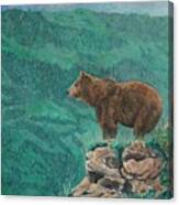 The Franklin Grizzly Bear Canvas Print