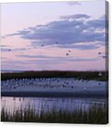 The Gathering Canvas Print