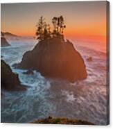 The Golden Sunset Of Oregon Coast Canvas Print