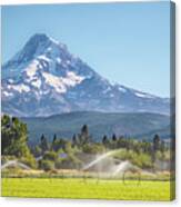 The Greening Of Hood River Valley Canvas Print