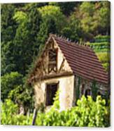 The House In The Vineyards Canvas Print