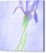 The Iris Canvas Print