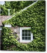 The Ivy House Canvas Print