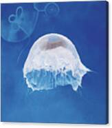 The Jellyfish Nursery Canvas Print
