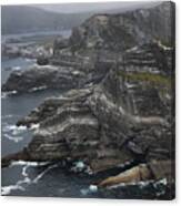 The Kerry Cliffs, Ireland Canvas Print