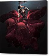 The Lady In Red Canvas Print