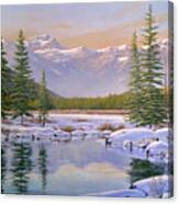 The Last Days Of Winter Canvas Print