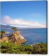 The Lone Cypress Pebble Beach Canvas Print