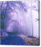 The Magic Forest Canvas Print
