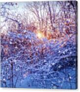 The Magic Of Winter 3 Canvas Print