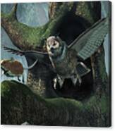 The Mouse And The The Owl Canvas Print