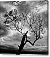 The Old Mangrove Tree In The Sea Canvas Print