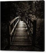 The Path Between Darkness And Light Canvas Print