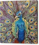 The Peacock Canvas Print