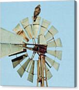 The Perch, Red Tailed Hawk On A Windmill Canvas Print