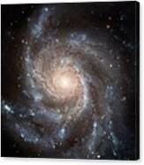 The Pinwheel Galaxy Canvas Print