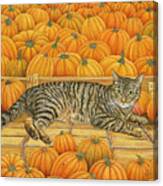 The Pumpkin Cat Canvas Print